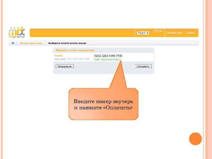 Введите номер ваучера и нажмите «Оплатить» 
