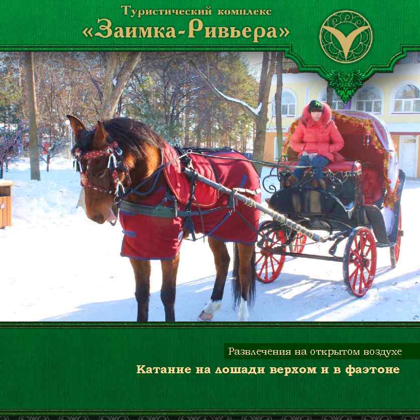 Развлечения на открытом воздухе Катание на лошади верхом и в фаэтоне 