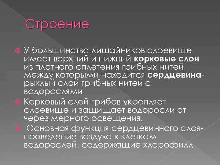 Строение У большинства лишайников слоевище имеет верхний и нижний корковые слои из плотного сплетения