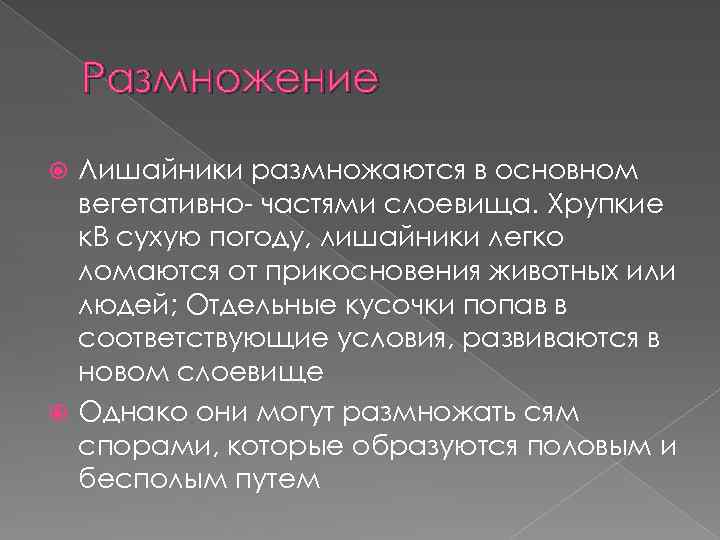 Размножение Лишайники размножаются в основном вегетативно- частями слоевища. Хрупкие к. В сухую погоду, лишайники