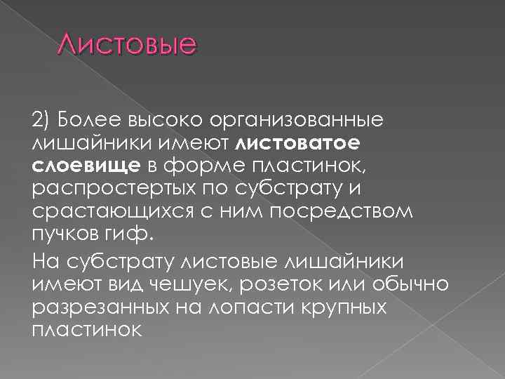 Листовые 2) Более высоко организованные лишайники имеют листоватое слоевище в форме пластинок, распростертых по