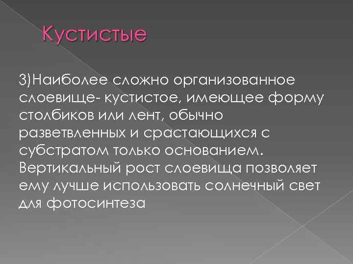 Кустистые 3)Наиболее сложно организованное слоевище- кустистое, имеющее форму столбиков или лент, обычно разветвленных и