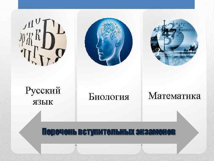 Русский язык Биология Математика Перечень вступительных экзаменов 