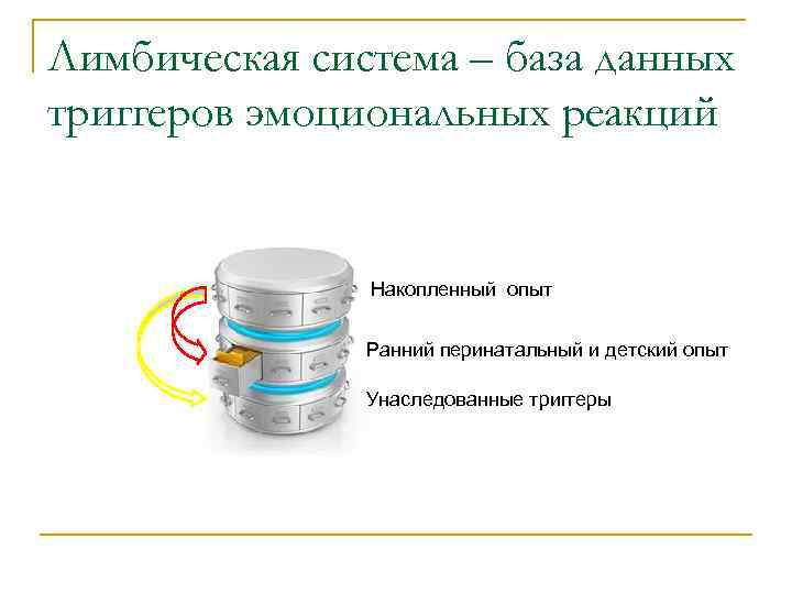 Лимбическая система – база данных триггеров эмоциональных реакций Накопленный опыт Ранний перинатальный и детский