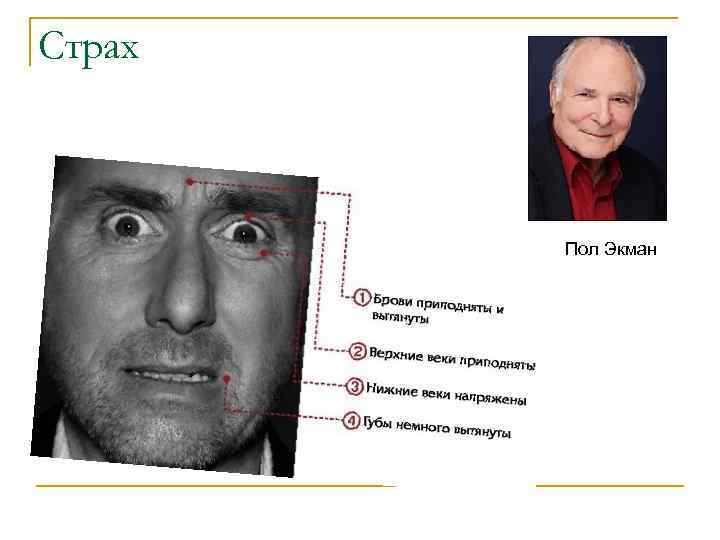 Страх Пол Экман 
