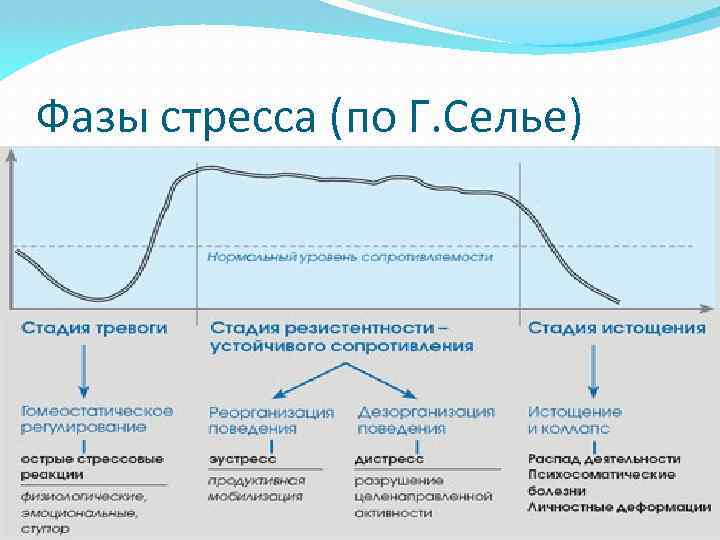 Фазы стресса (по Г. Селье) 