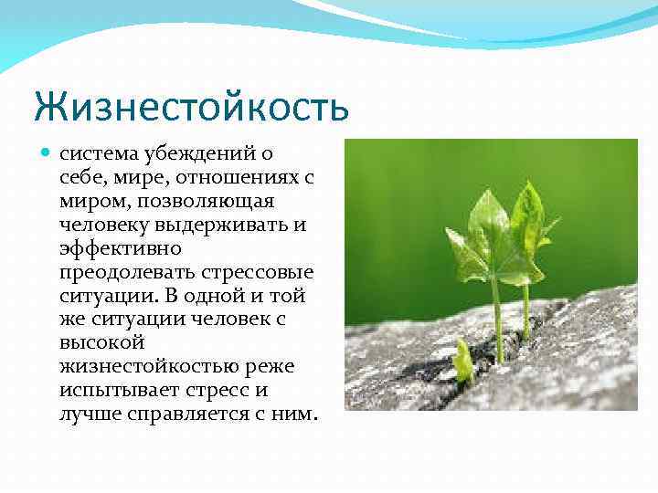 Жизнестойкость система убеждений о себе, мире, отношениях с миром, позволяющая человеку выдерживать и эффективно