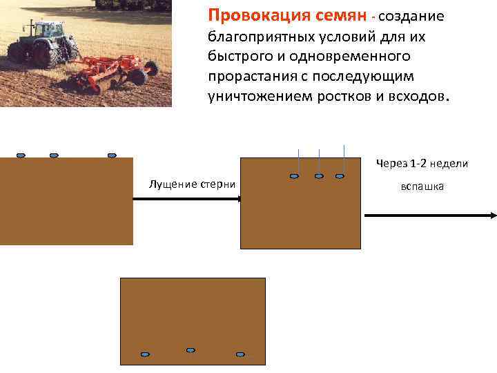 Провокация семян - создание благоприятных условий для их быстрого и одновременного прорастания с последующим