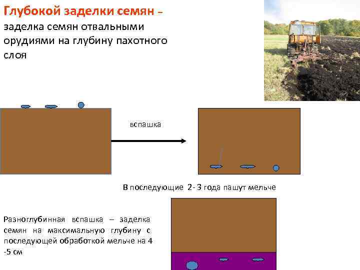 Глубокой заделки семян – заделка семян отвальными орудиями на глубину пахотного слоя вспашка В