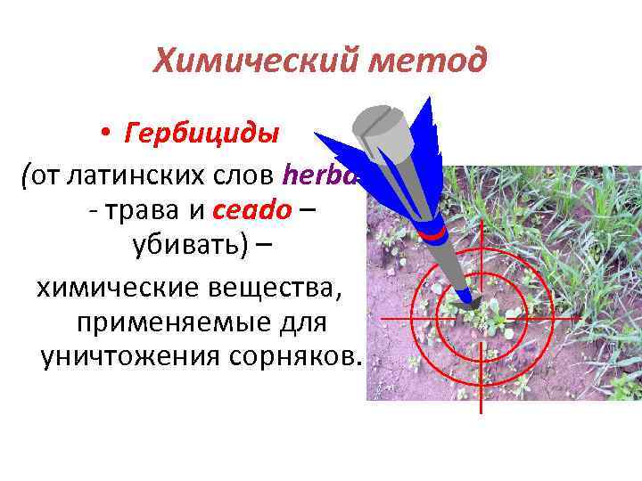 Химический метод • Гербициды (от латинских слов herba - трава и ceado – убивать)