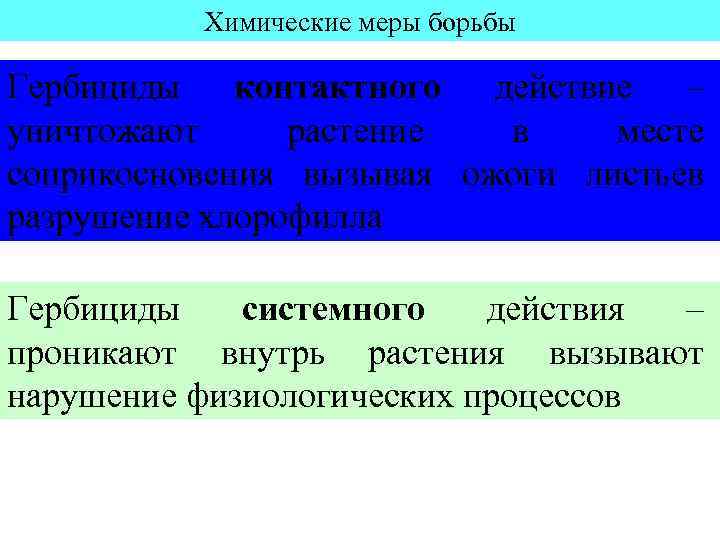 Химические меры борьбы Гербициды контактного действие – уничтожают растение в месте соприкосновения вызывая ожоги