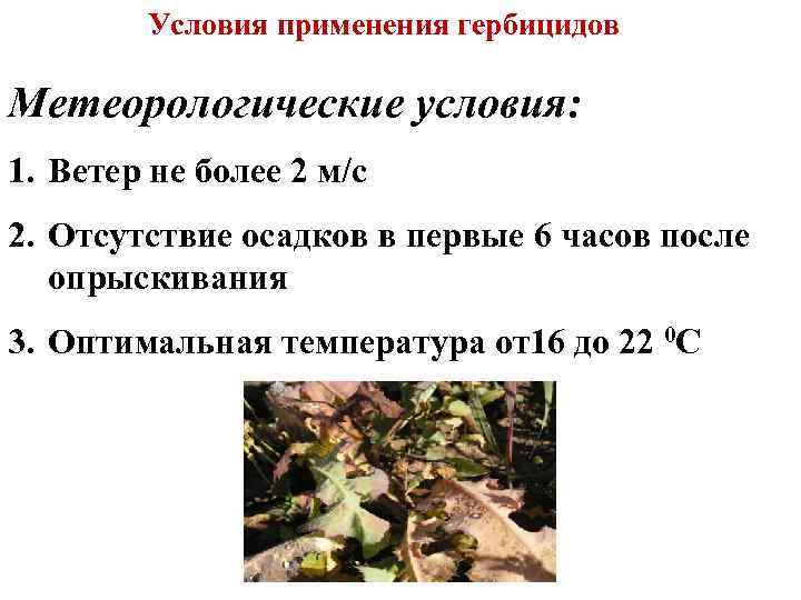 Условия применения гербицидов Метеорологические условия: 1. Ветер не более 2 м/с 2. Отсутствие осадков