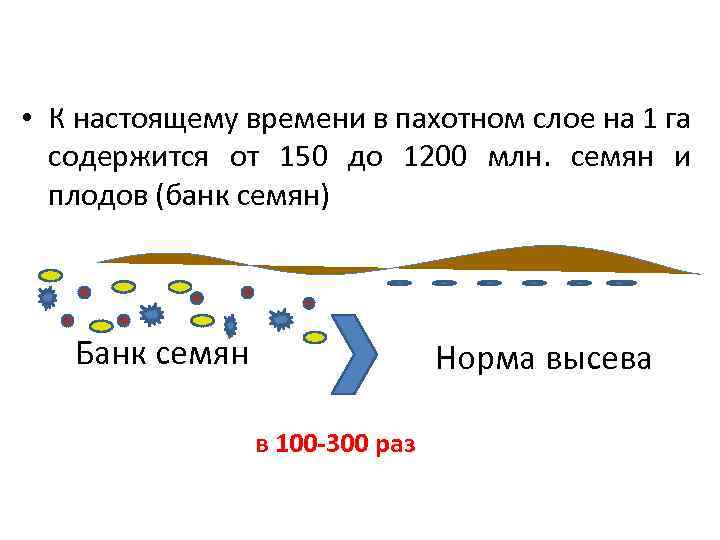  • К настоящему времени в пахотном слое на 1 га содержится от 150