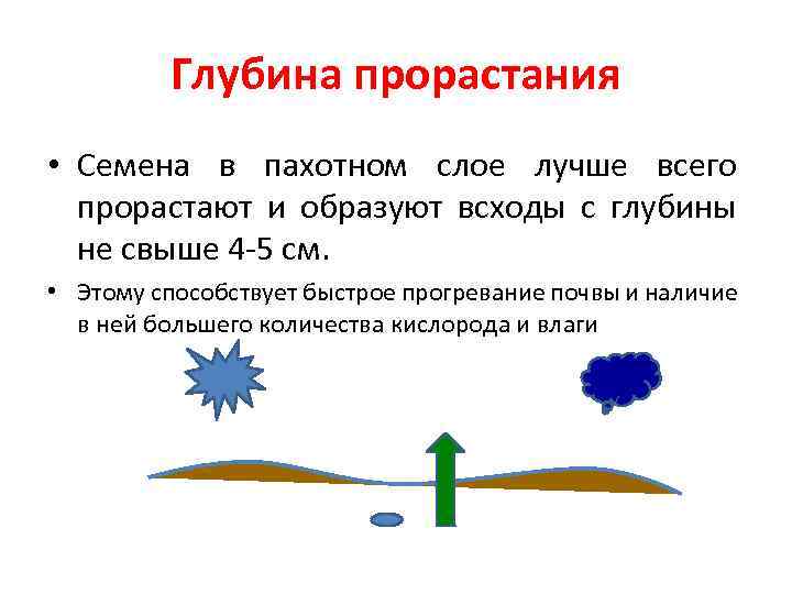 Глубина прорастания • Семена в пахотном слое лучше всего прорастают и образуют всходы с