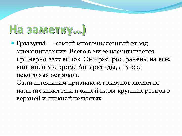 На заметку…) Грызуны — самый многочисленный отряд млекопитающих. Всего в мире насчитывается примерно 2277