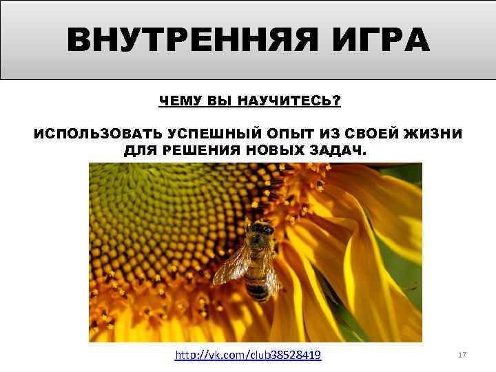 ВНУТРЕННЯЯ ИГРА ЧЕМУ ВЫ НАУЧИТЕСЬ? ИСПОЛЬЗОВАТЬ УСПЕШНЫЙ ОПЫТ ИЗ СВОЕЙ ЖИЗНИ ДЛЯ РЕШЕНИЯ НОВЫХ
