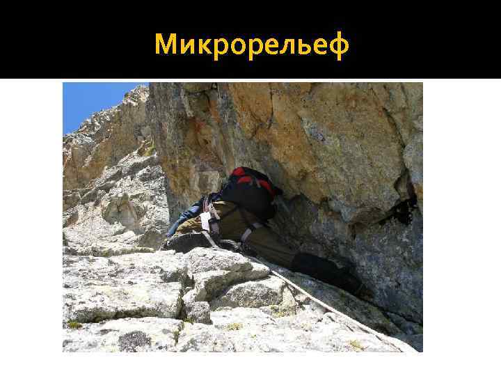 Микрорельеф 