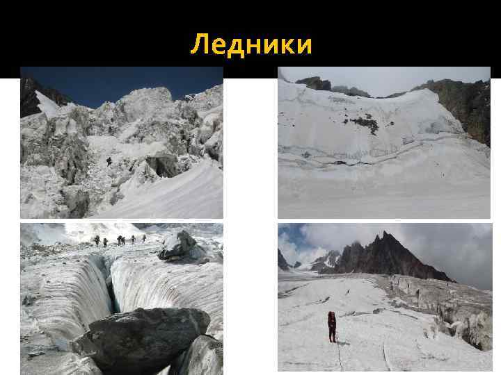 Ледники 