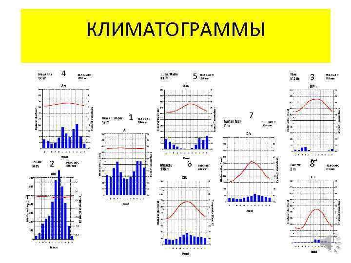 Какому типу климата соответствует климатограмма