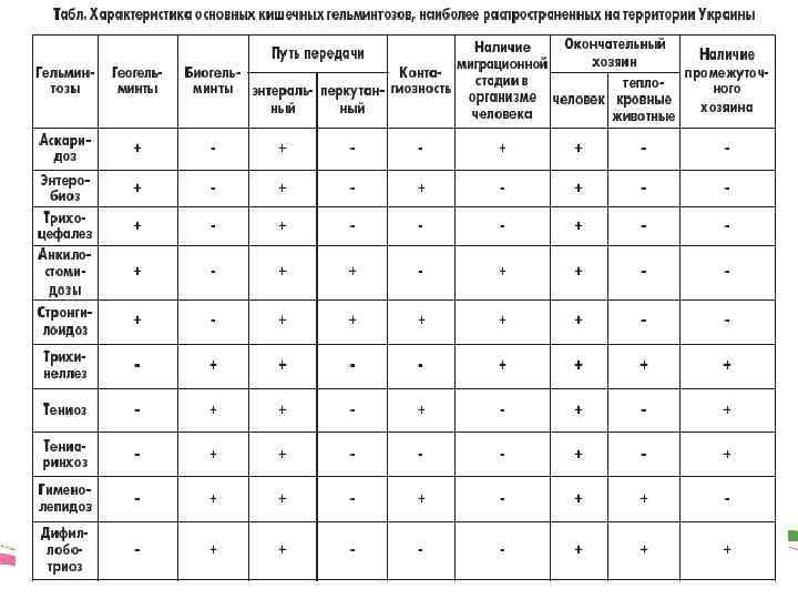 План противопаразитарных мероприятий