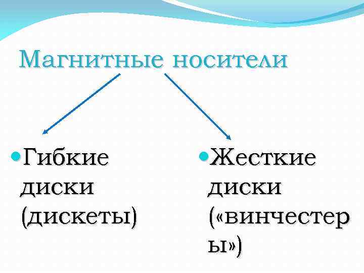 Магнитные носители Гибкие диски (дискеты) Жесткие диски ( «винчестер ы» ) 