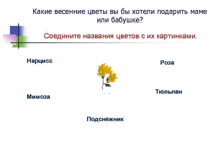 Какие весенние цветы вы бы хотели подарить маме или бабушке? Cоедините названия цветов с