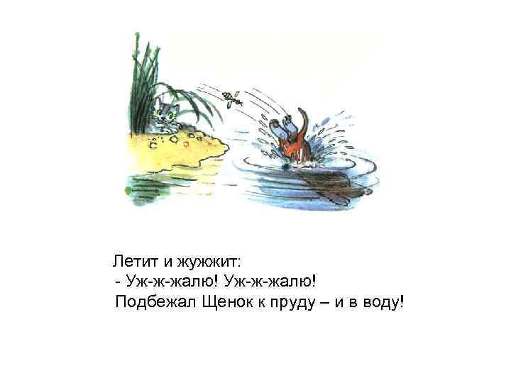 Летит и жужжит: - Уж-ж-жалю! Подбежал Щенок к пруду – и в воду! 