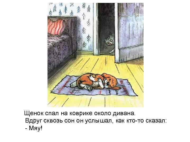 Щенок спал на коврике около дивана. Вдруг сквозь сон он услышал, как кто-то сказал: