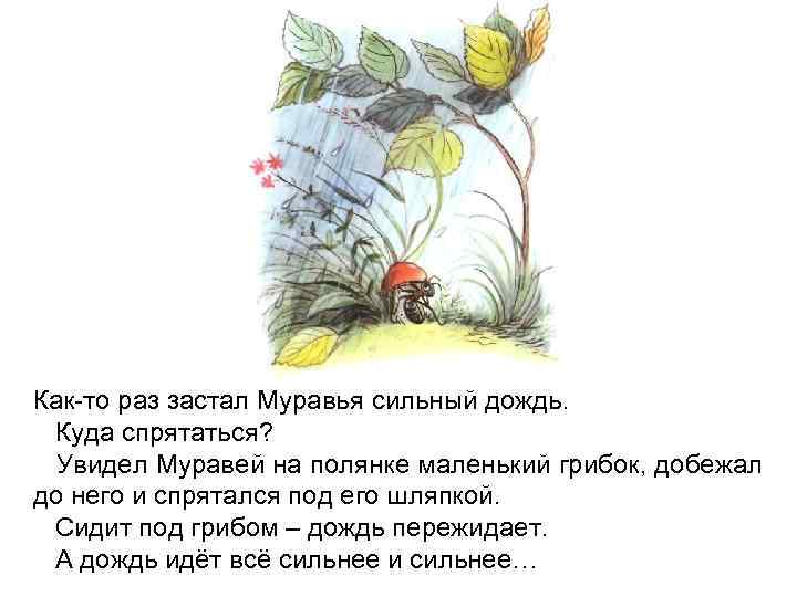 Под грибом описание. Как то раз застал муравья сильный дождь куда спрятаться. Как то раз застал муравья сильный дождь. Увидел муравей на полянке маленький грибок и спрятался. Сказка как то раз застал муравья сильный дождь.