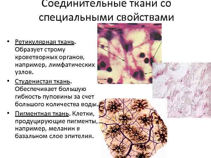 Определение ткани по фото