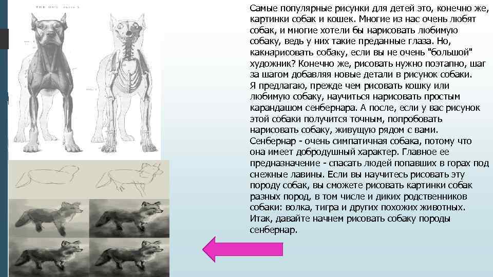 Самые популярные рисунки для детей это, конечно же, картинки собак и кошек. Многие из