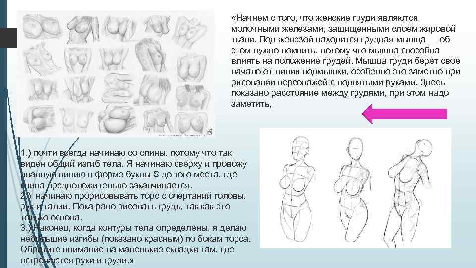 Виды женской груди. Форма женская грудь схема. Форма груди рисунок. Формы груди для рисования. Строение форм груди рисунок.