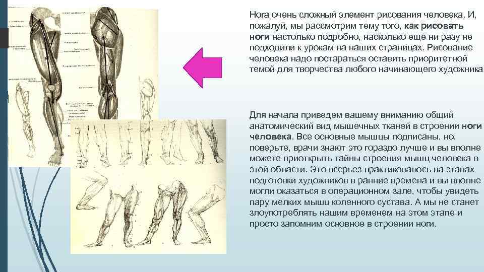 Нога очень сложный элемент рисования человека. И, пожалуй, мы рассмотрим тему того, как рисовать