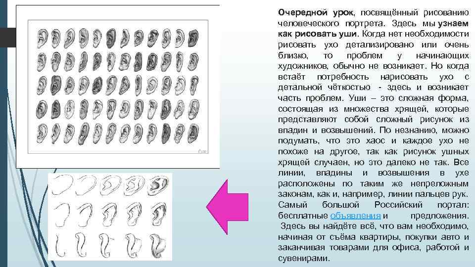 Очередной урок, посвящённый рисованию человеческого портрета. Здесь мы узнаем как рисовать уши. Когда нет