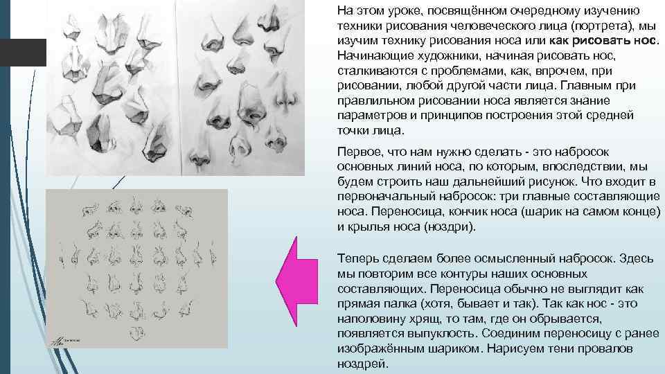 На этом уроке, посвящённом очередному изучению техники рисования человеческого лица (портрета), мы изучим технику