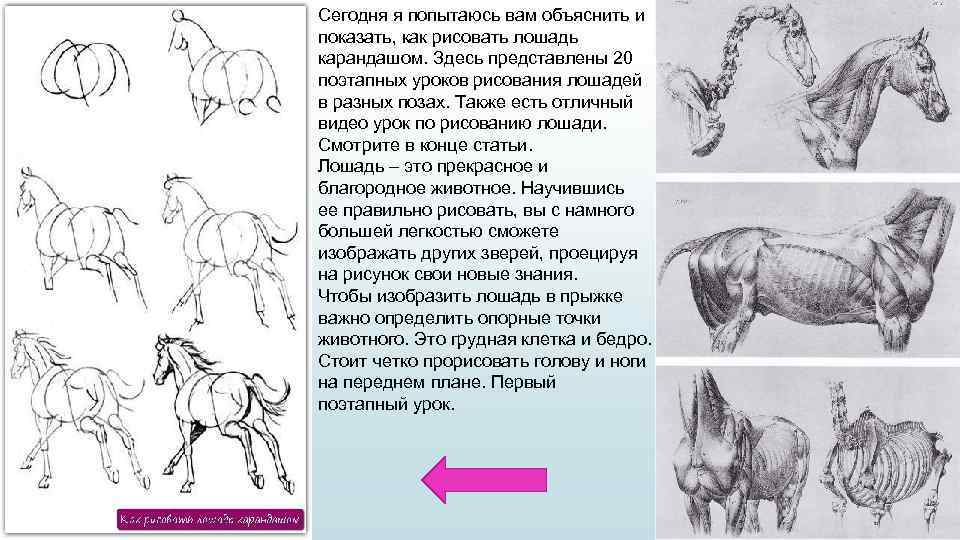 План урока рисования