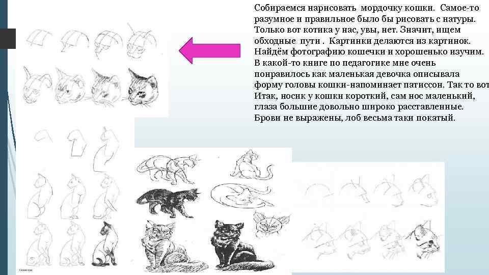 Собираться нарисовать. Собирается рисовать. Нарисуймордочку своей кошке. Нарисовать кошку графическими способами используя схему. Как рисуют вот таких вот котиков.