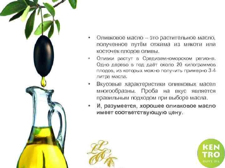Оливковое масло имеет. Масло растительное или оливковое. Из чего вырабатывается оливковое масло. Растительное масло, вырабатываемое из мякоти косточковых плодов. Оливковое масло растение.