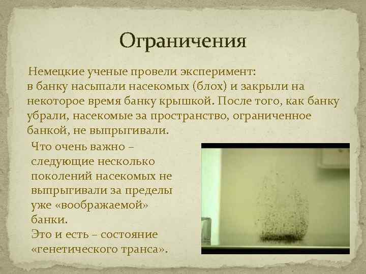 Ограничения Немецкие ученые провели эксперимент: в банку насыпали насекомых (блох) и закрыли на некоторое