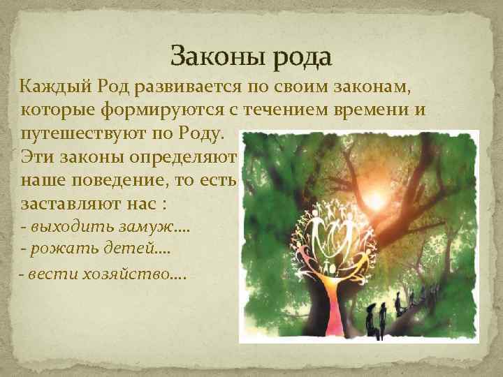 Законы рода Каждый Род развивается по своим законам, которые формируются с течением времени и