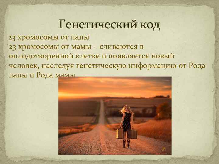 Генетический код 23 хромосомы от папы 23 хромосомы от мамы – сливаются в оплодотворенной