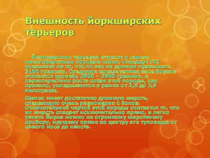 Внешность йоркширских терьеров Йоркширских терьеров относят к самым малогабаритным породам собак. Стандарт FCI указывает