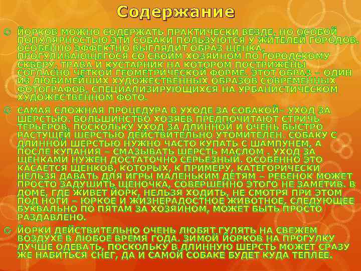 Содержание ЙОРКОВ МОЖНО СОДЕРЖАТЬ ПРАКТИЧЕСКИ ВЕЗДЕ, НО ОСОБОЙ ПОПУЛЯРНОСТЬЮ ЭТИ СОБАКИ ПОЛЬЗУЮТСЯ У ЖИТЕЛЕЙ