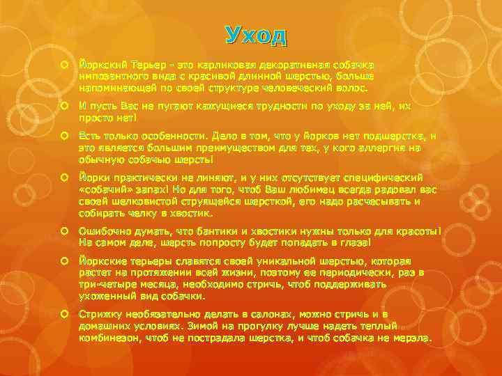 Уход Йоркский Терьер - это карликовая декоративная собачка импозантного вида с красивой длинной шерстью,
