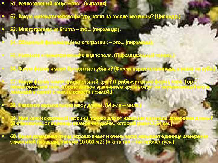  • 51. Вечнозеленый конус – это… (кипарис). • 52. Какую математическую фигуру носят
