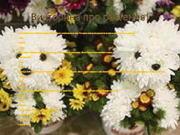 Викторина про растения! • 1. Это хвойное светолюбивое дерево. Может расти на песчаных почвах.