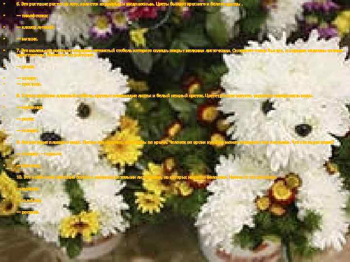  • 6. Это растение растет на лугу, является кормовым и медоносным. Цветы бывают