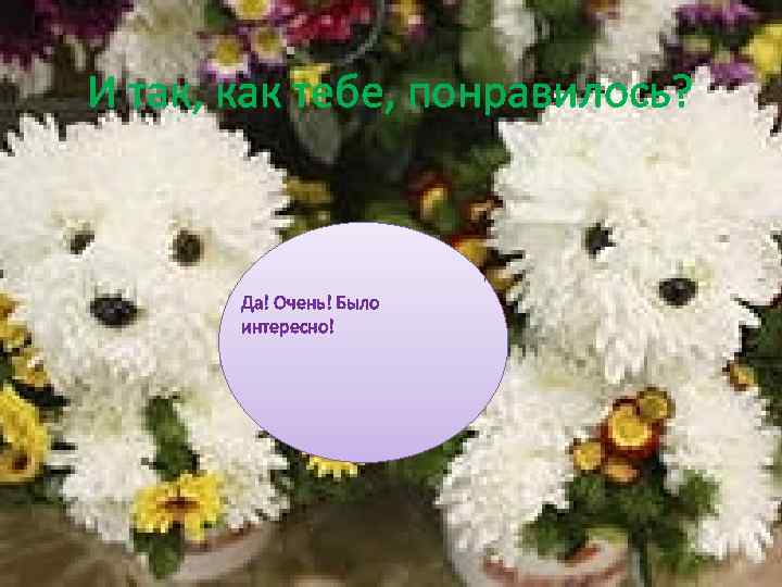 И так, как тебе, понравилось? Да! Очень! Было интересно! 