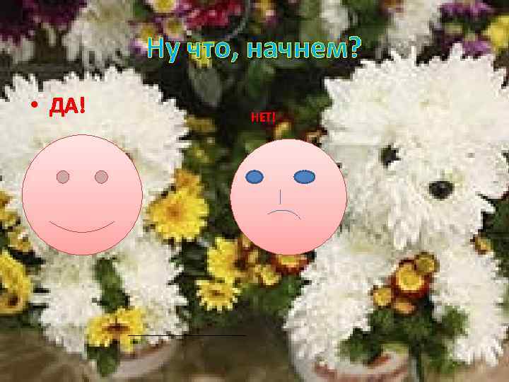 Ну что, начнем? • ДА! НЕТ! 