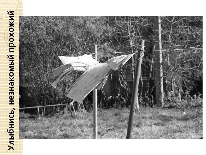 Улыбнись, незнакомый прохожий 